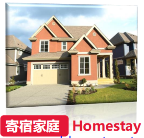 1736994974471738.png 4.png